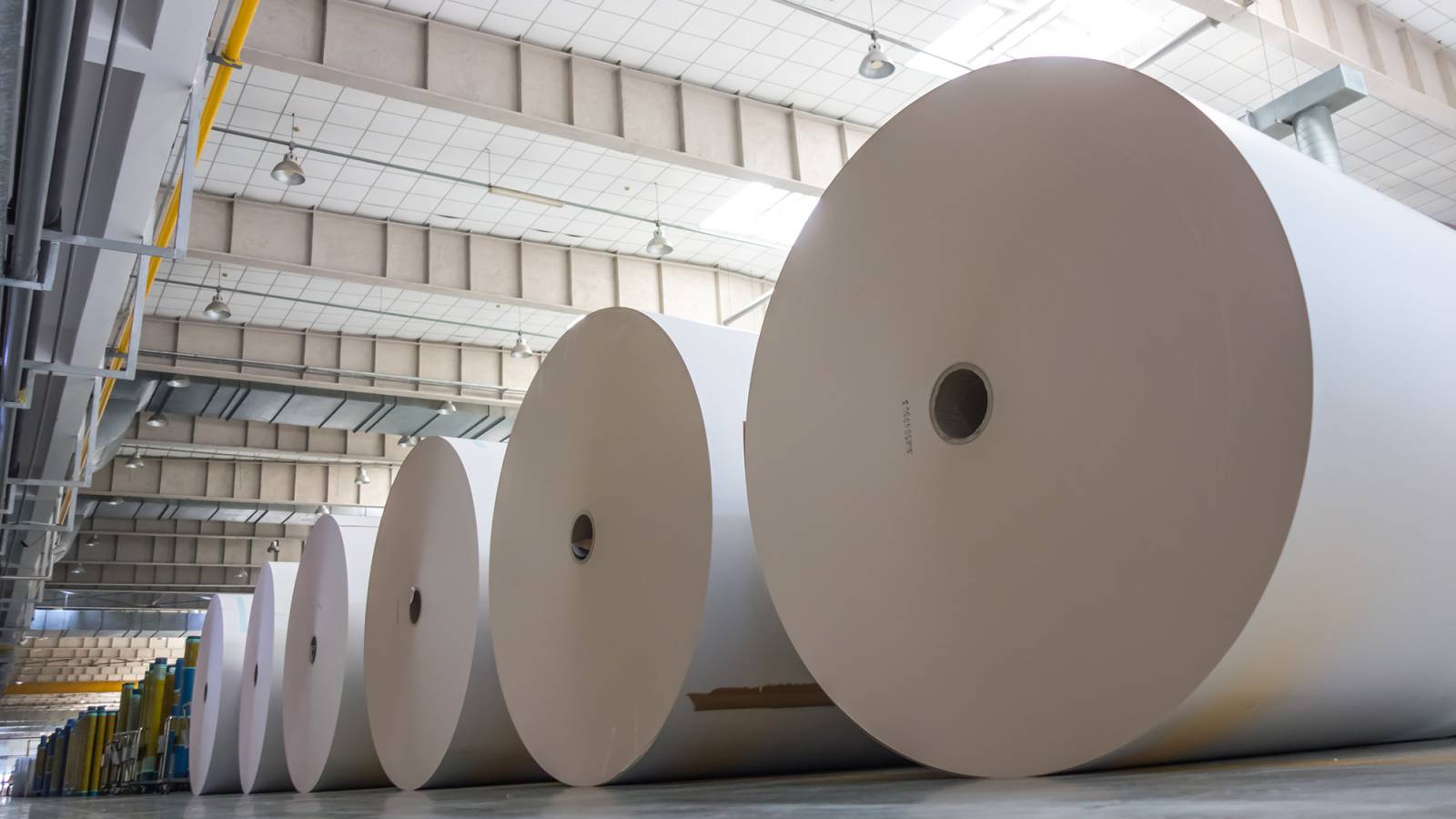 The growth of paper industry in the chinese market