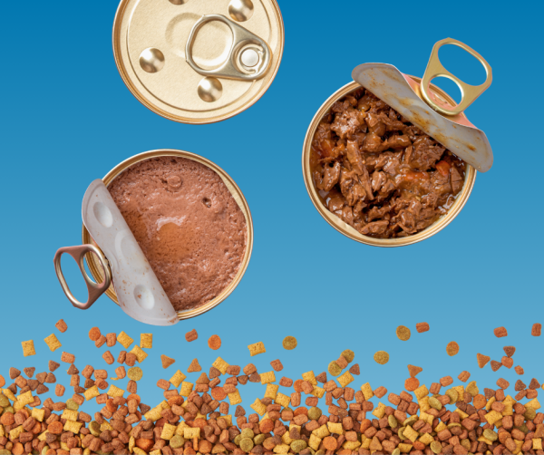 SISTEMI DI AUTOMAZIONE PER LINEE DI PRODUZIONE A SECCO E UMIDO